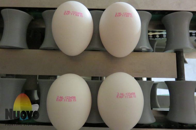 Nuovo Egg Printing and Egg Stamping Systems - Impresora Egg Jet SOR en la banda de rodillos de clasificadora