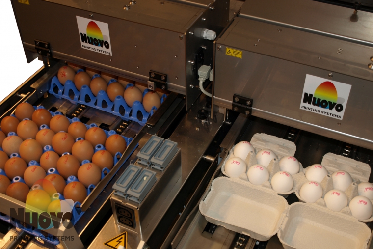 Nuovo Egg Printing and Egg Stamping Systems - Easy Stamp Stempelaar R6 op Sorteermachine Verpakkingsbaan