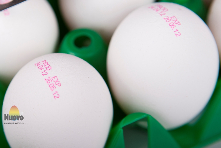 Nuovo Egg Printing and Egg Stamping Systems - 供旋转式农场包装机Mopack 150安装的R6型鸡蛋喷码系统