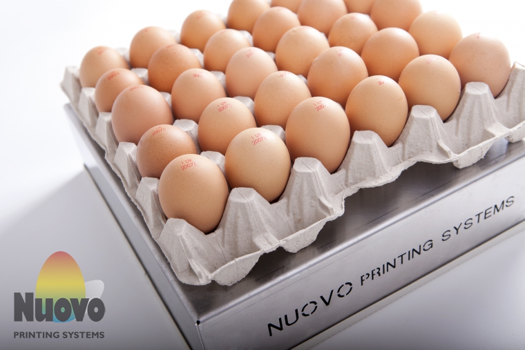 Nuovo Egg Printing and Egg Stamping Systems - Easy Stamp EMS30