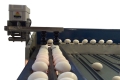 Nuovo Egg Printing and Egg Stamping Systems - Eierstempelgerät Easy Stamp SOR auf Zufuhrtisch der Sortiermaschine